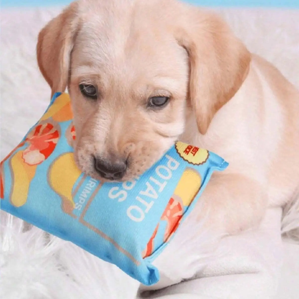 1pc Random Funny Chip Biscuit Bag Plush Dog Toy Pup's Favorite 'Snack' Fake Potato Chips Bag Toy for Dogs Pet Supplies
