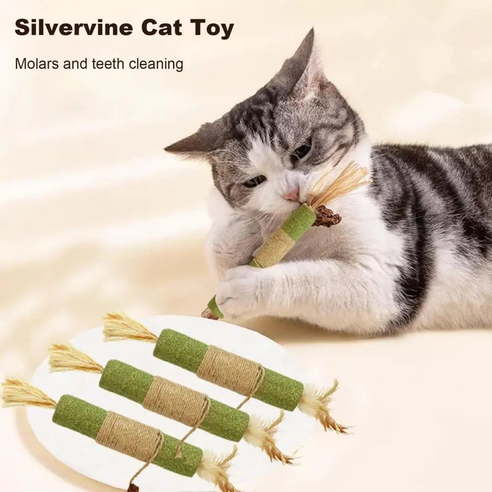 Catnip Cat Toy Cat Dental Health Chew Toy Natural Catnip Silvervine Chew Sticks for Cats Dental Care Anxiety Relief Appetite