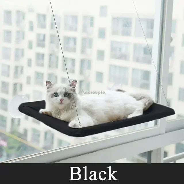 Hanging Cat Bed Bearing 20kg Pet Accessories Pet Cat Hammock Aerial Cats Bed House Kitten Climbing Frame Sunny Window Seat Nest