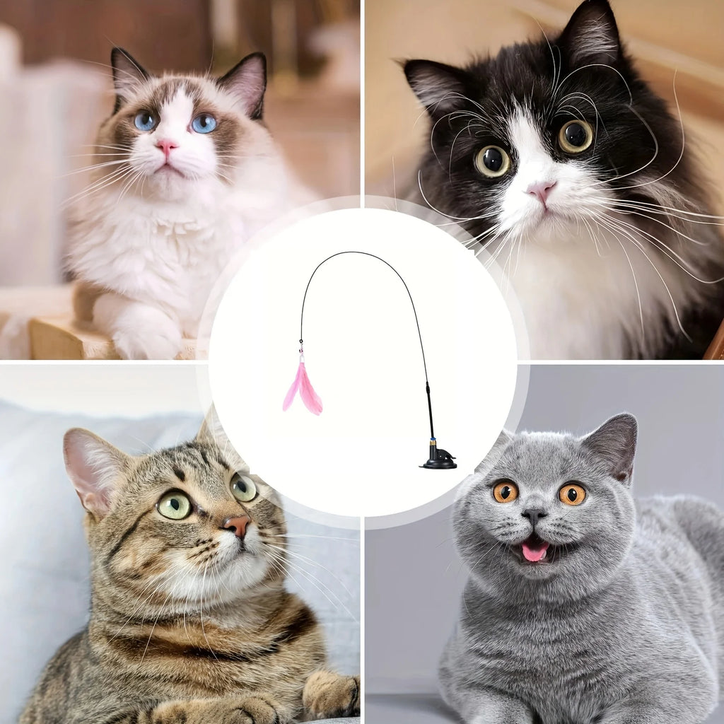 Pet toys, powerful suction cups, cat toys, feather self-entertainment and boredom, cat and dog toys, pet supplies