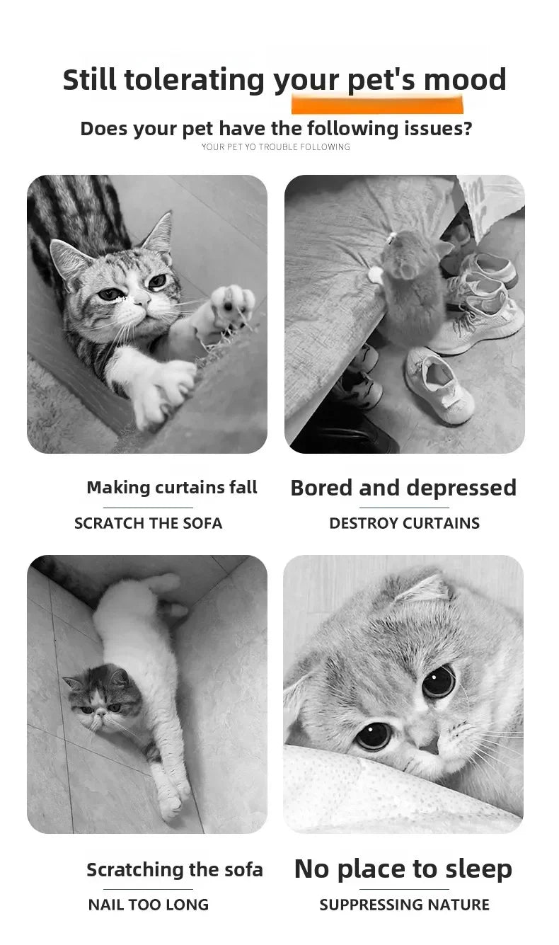 Foldable Puppy Stairs Multi-Functional Ramp for Dogs Cat Scratching Board Pet Dog Stairs Portable Climbing Wear-Resistant Ladder