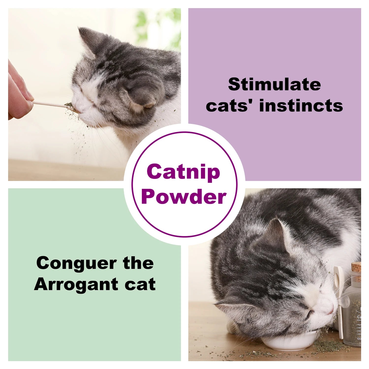 Catnip+Silvervine for Cats & Kittens Safety-Cut Premium Fine Cat Nip Blend Silvervine + Wooden Spoon，100 ML,Create a Monster!