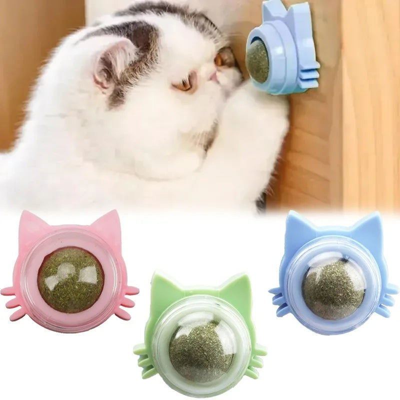 Catnip Balls Funny Lickable Dental Chew Toys for Kittens Interactive Teeth Cleaning Small Medium Cats Multi Color Pet Supplies