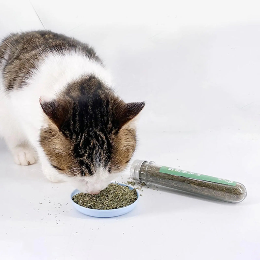 Catnip for Cats Premium Quality Strong Dried Catnip for Cat Toys Catnip for Cat Calming Scratch Pad Cat Bed Cat Toys