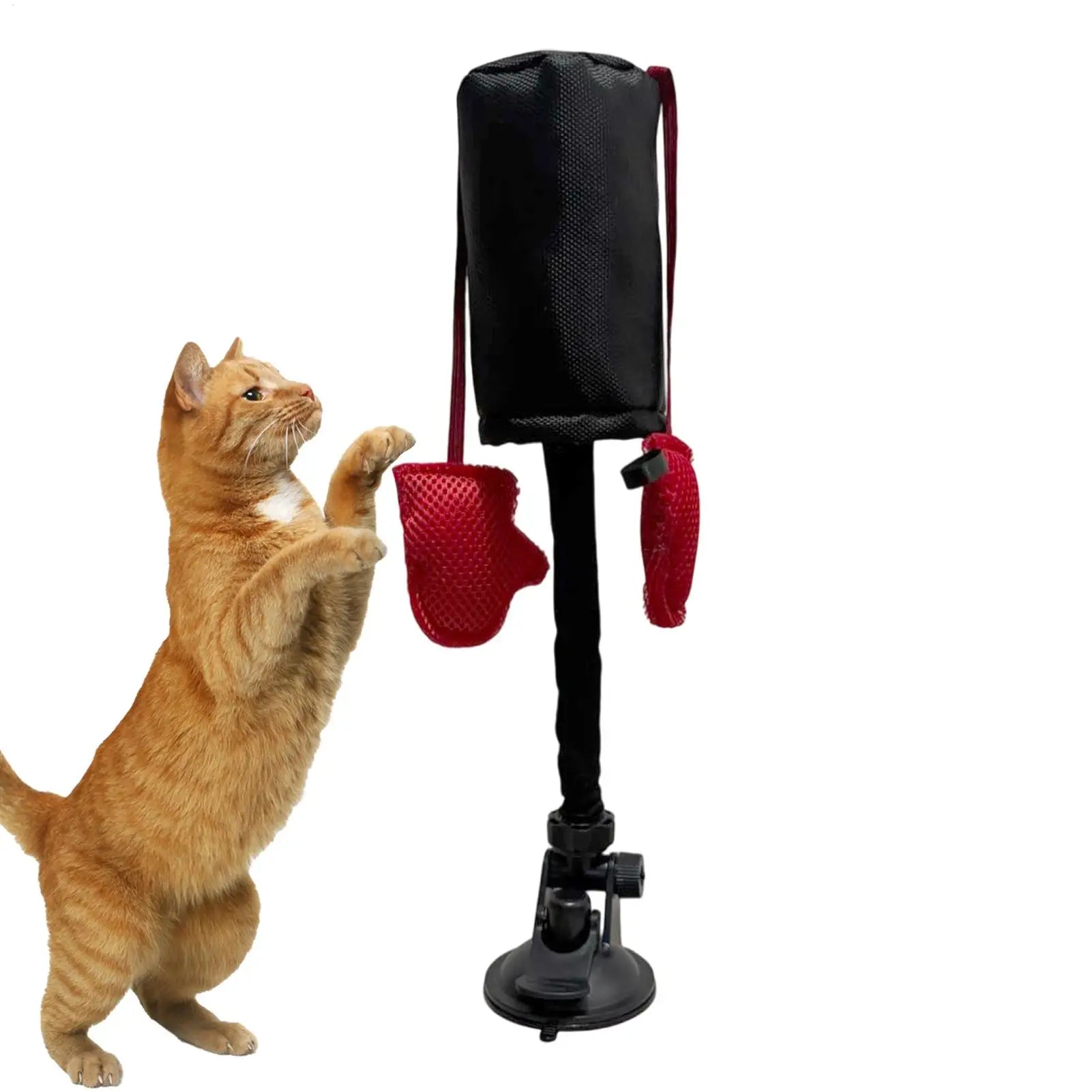Cat Punching Bag Toy Interactive Kitten Play Toy with Suction Cup Pet Teasing Interactive Play Activity Fun Kitten Teaser  Toy