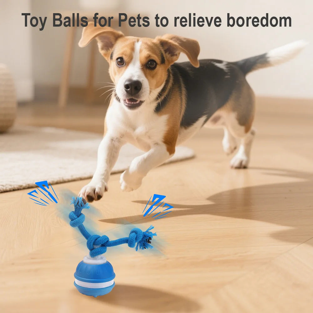 Cat Dog Interactive Ball Toy Automatic Rolling Ball Faux Tail Rechargeable Smart Pet Electric Toy Dog Cat Training Imitate Mouse
