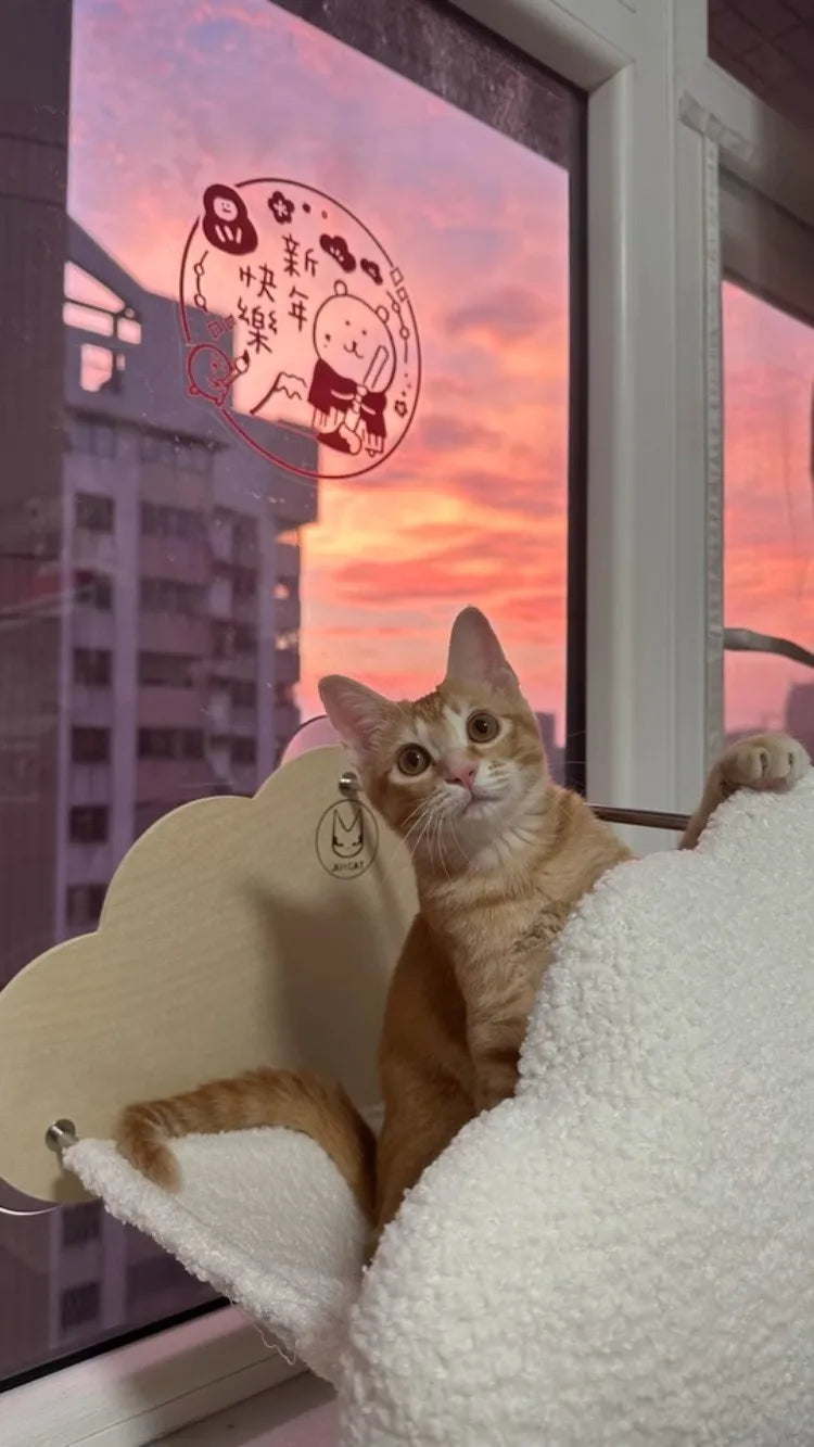 Creative Cat Bed Hammock Pet Cat Kitten Beds Cats Nap Sleeping Bag Basket Mat Pets Blankets Catnap Rug Raised Bed Furry Mats