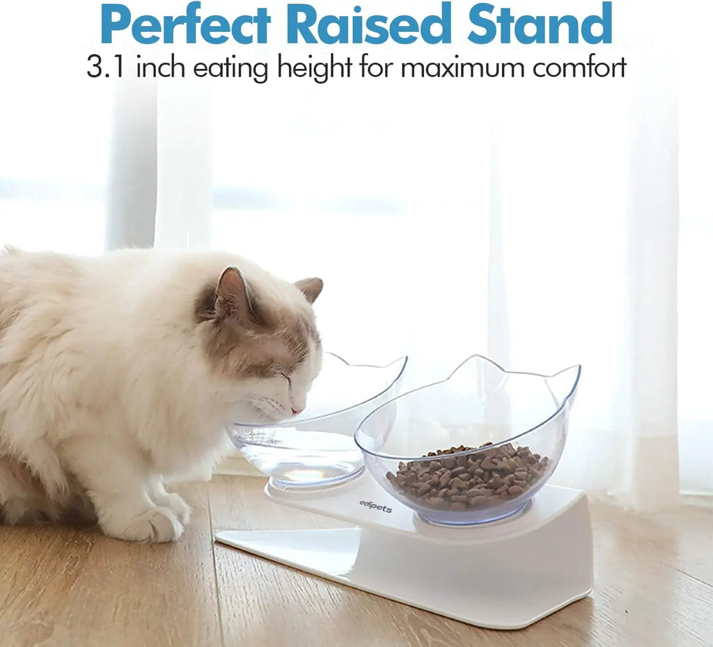 Double Cat Pet Feeding Bowls Food Bowl 15° Tilting with Stand Anti-Swing Kittens Elevated Puppy Dog Food and Water Raised Bowls