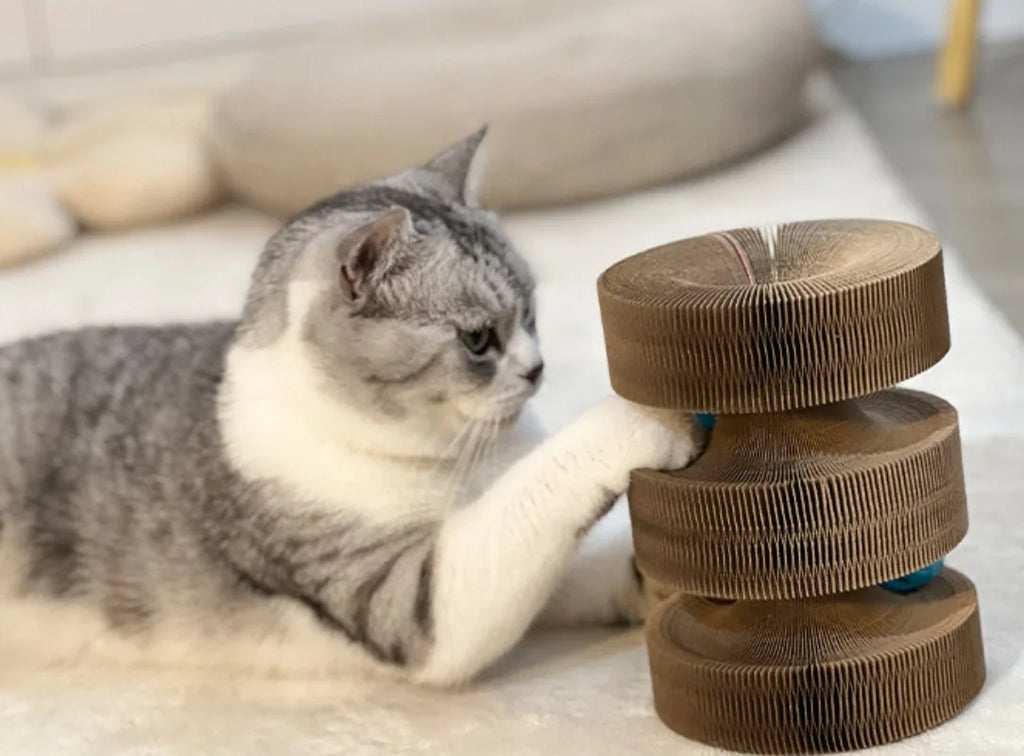 Cat Scratch Board Cat Toy with Bell Cat Cat Climbing Frame Foldable Recyclable Accordion Cardboard Kitten Toy with Ball