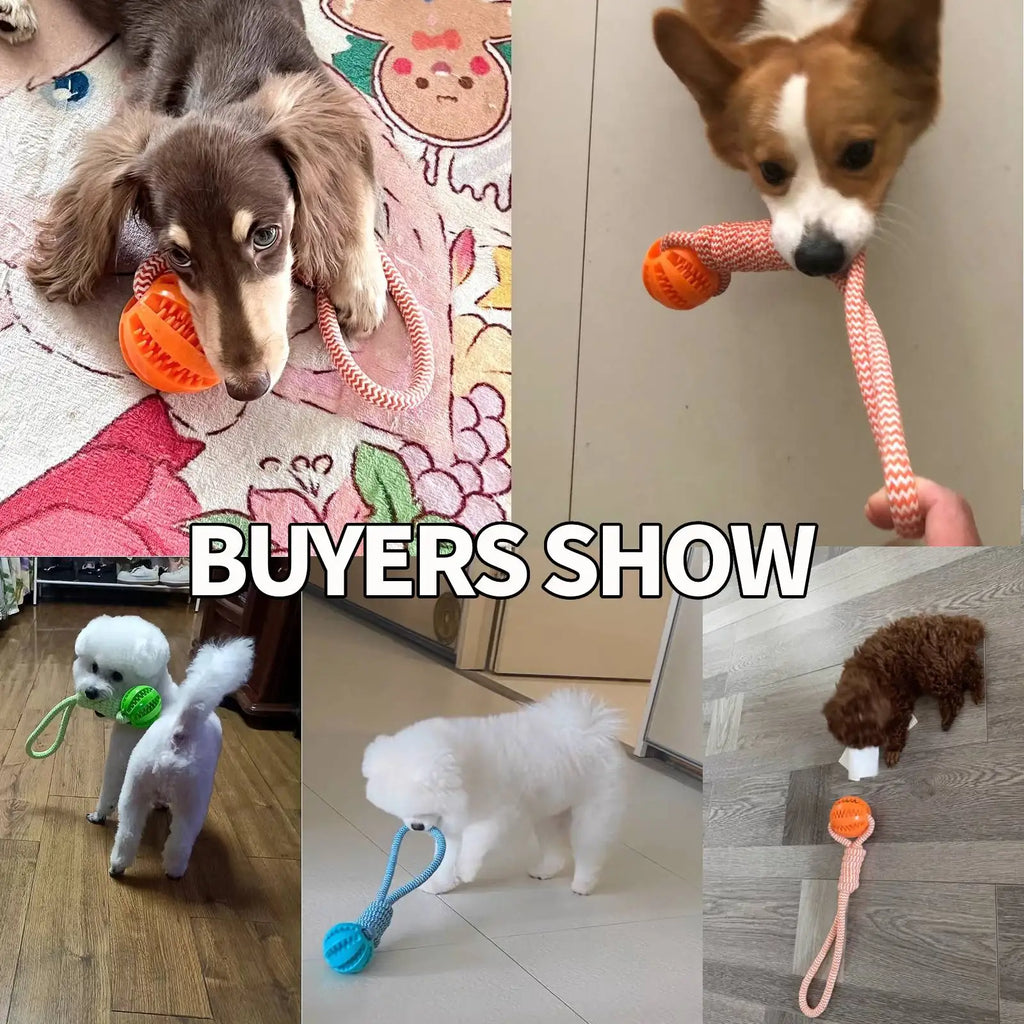 Dog Toys Balls Interactive Treat Rope Rubber Leaking Balls for Small Medium Dogs Chewing Bite Resistant Pet Tooth Cleaning