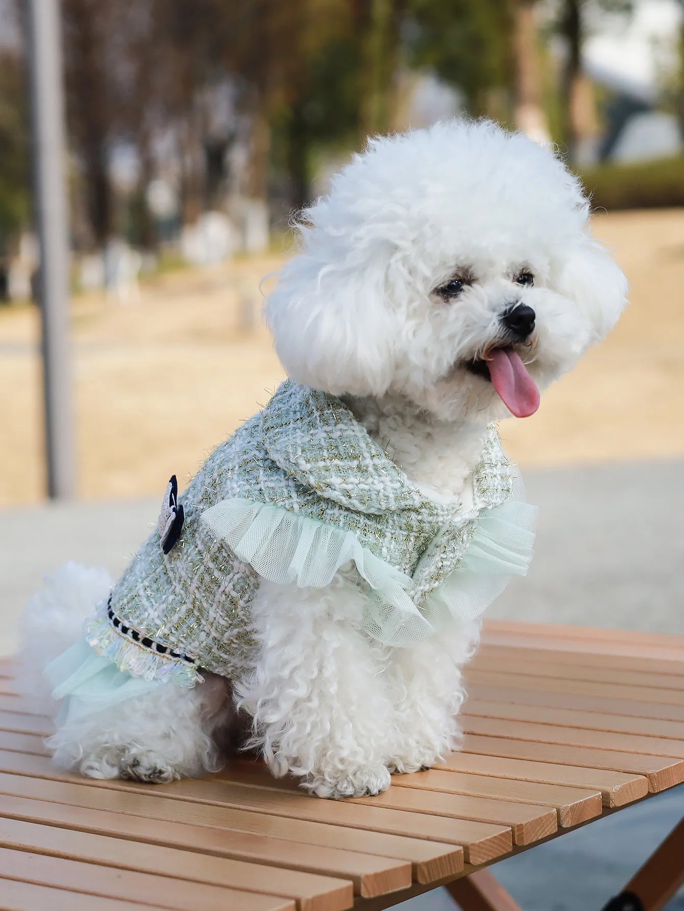 Dog clothes Princess Dress & Jacket For Pets, Suitable For Poodle, Maltese, Yorkshire Terrier In Spring And Autumn