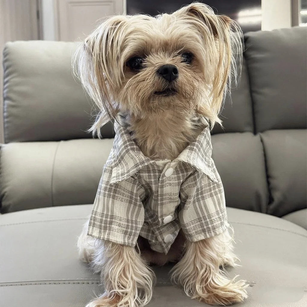 Dog clothes Spring Summer Plaid Shirt for Dogs And Cats Fashionable Cute Pet Clothing Suitable for Small to Medium Dogs