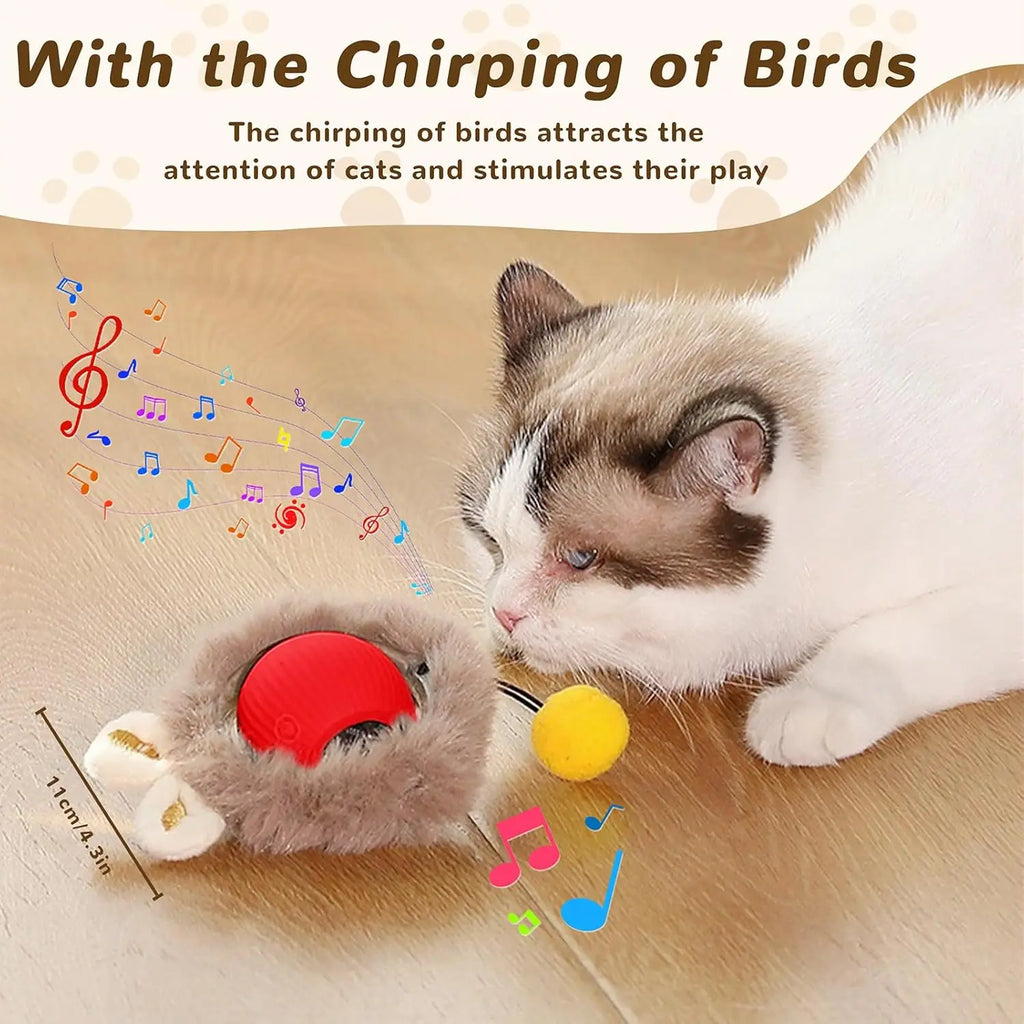 Cat Interactive ball Toy, Automatic Rolling Ball with Tail, Rechargeable Smart Pet Interactive Toy, Intelligent toy for Cat