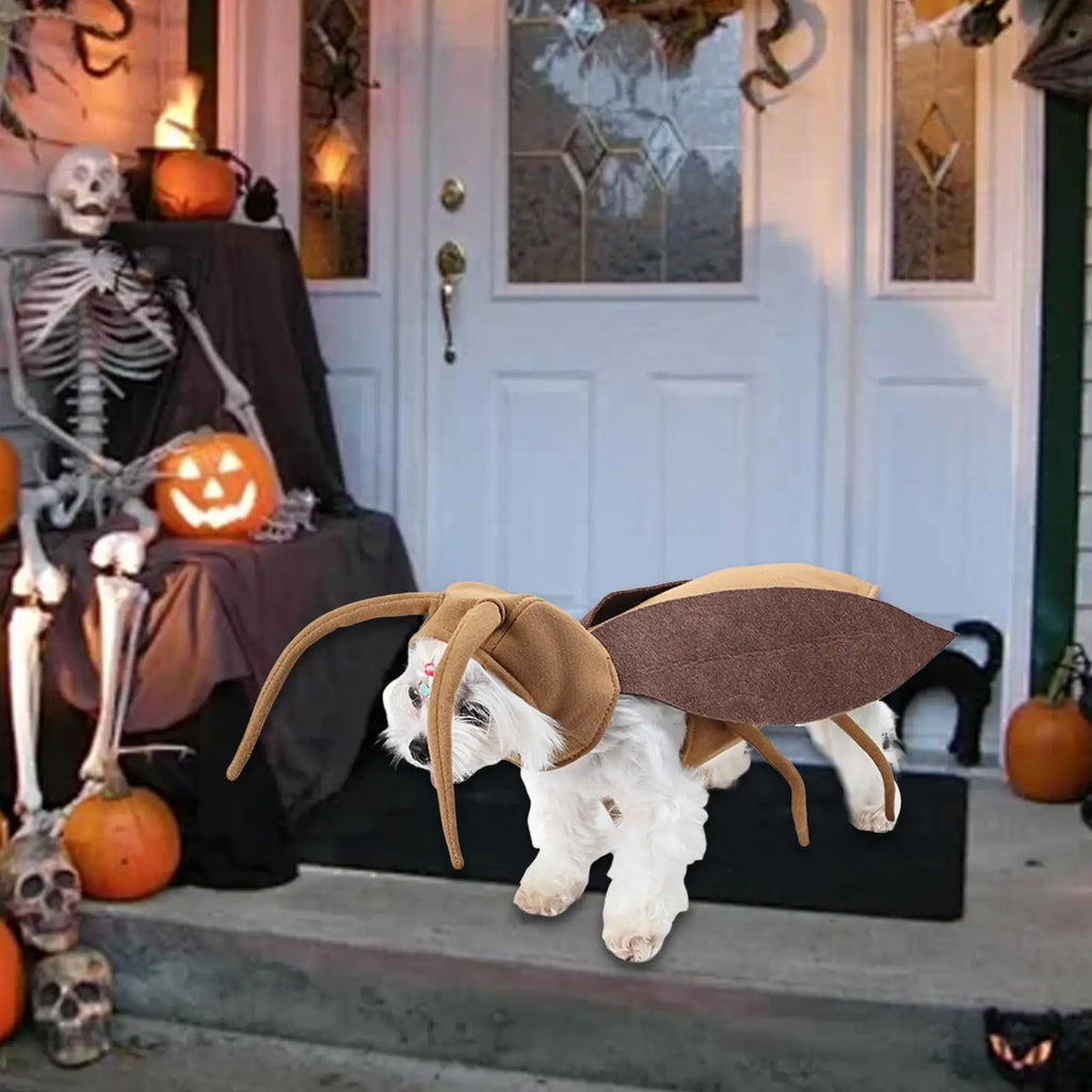 Dog Cosplay Clothes, Festive Pet Clothes, Festival Photo Props, Decoration, Pet