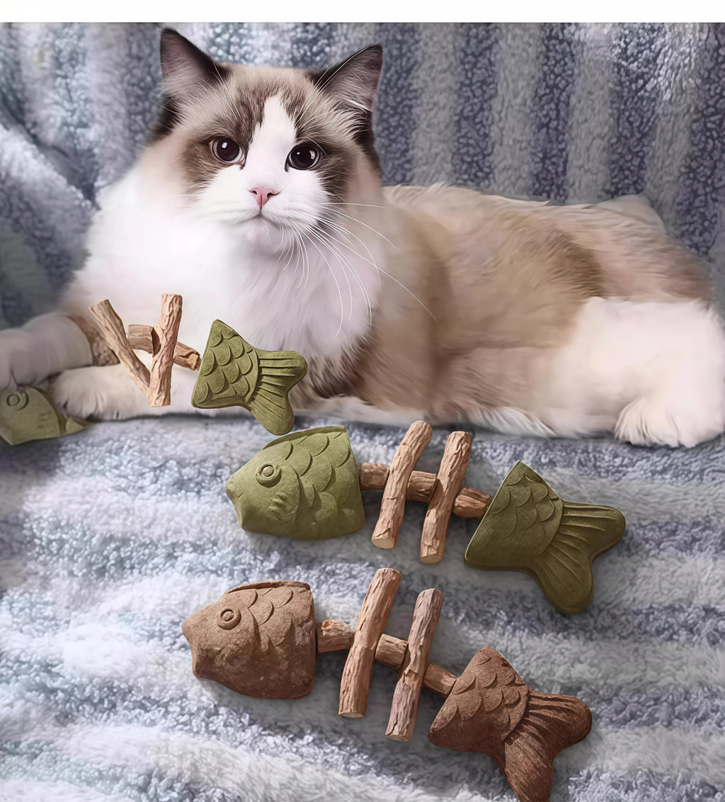 Catnip Balls Funny Fish Bone Cat Toys Lickable Snack Catnip Silvervine Kitten Chewing Cleaning Teeth Toy For Cats Pet Supplies