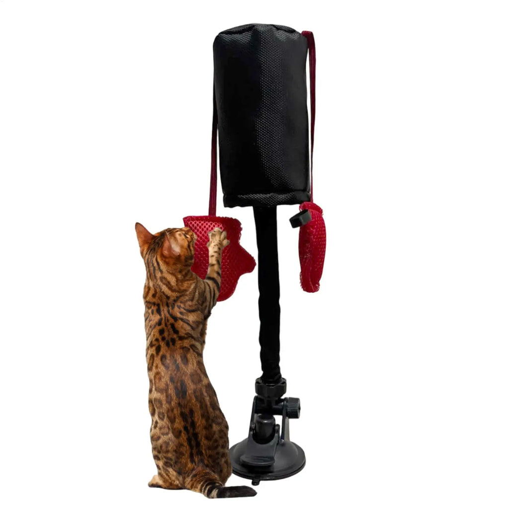Cat Punching Bag Toy Interactive Kitten Play Toy with Suction Cup Pet Teasing Interactive Play Activity Fun Kitten Teaser  Toy
