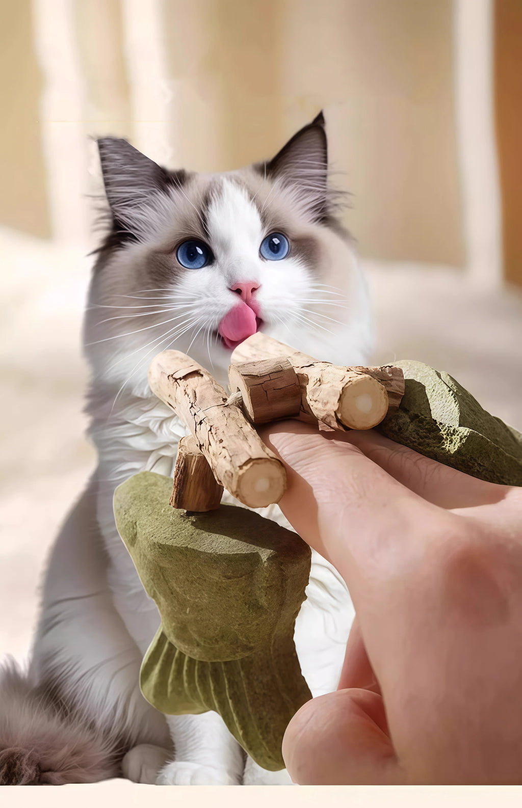 Catnip Balls Funny Fish Bone Cat Toys Lickable Snack Catnip Silvervine Kitten Chewing Cleaning Teeth Toy For Cats Pet Supplies