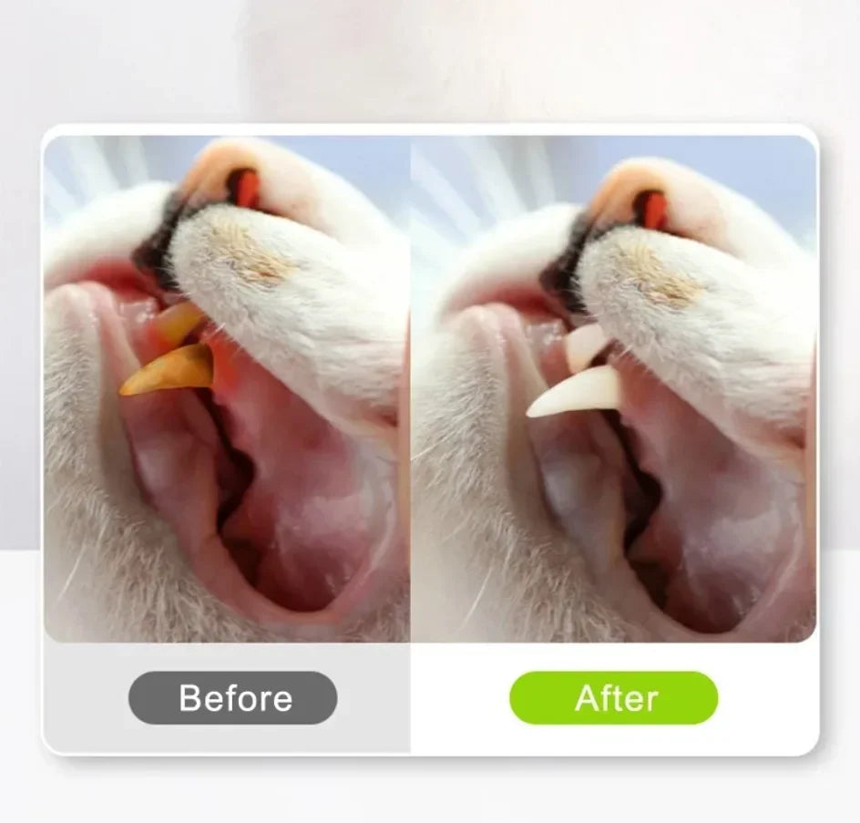 Catnip Cat Toys Natural Matatabi Pet Cat Snacks Stick Cleans Tooth Removers Hair Silvervine Kitten Chew Toy Promote Digestion