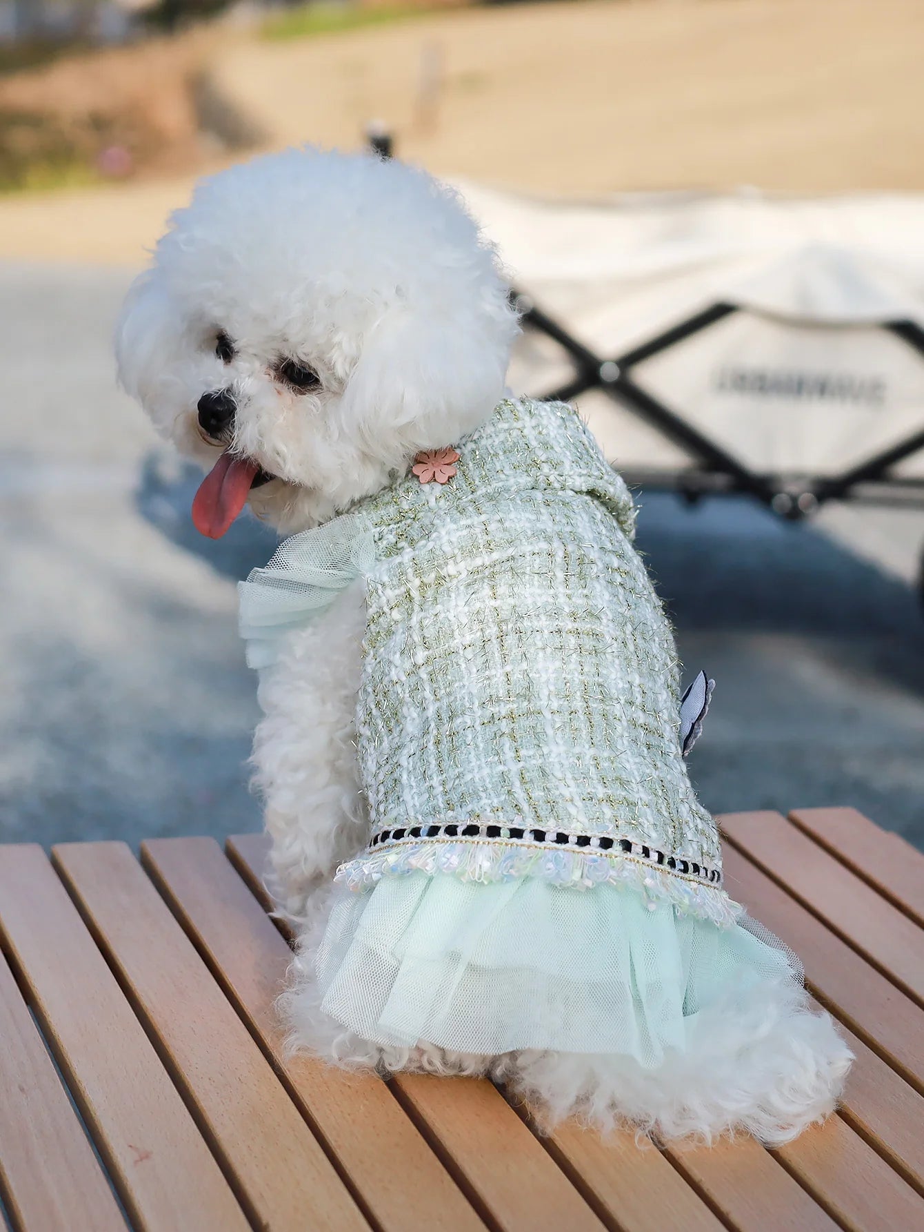 Dog clothes Princess Dress & Jacket For Pets, Suitable For Poodle, Maltese, Yorkshire Terrier In Spring And Autumn