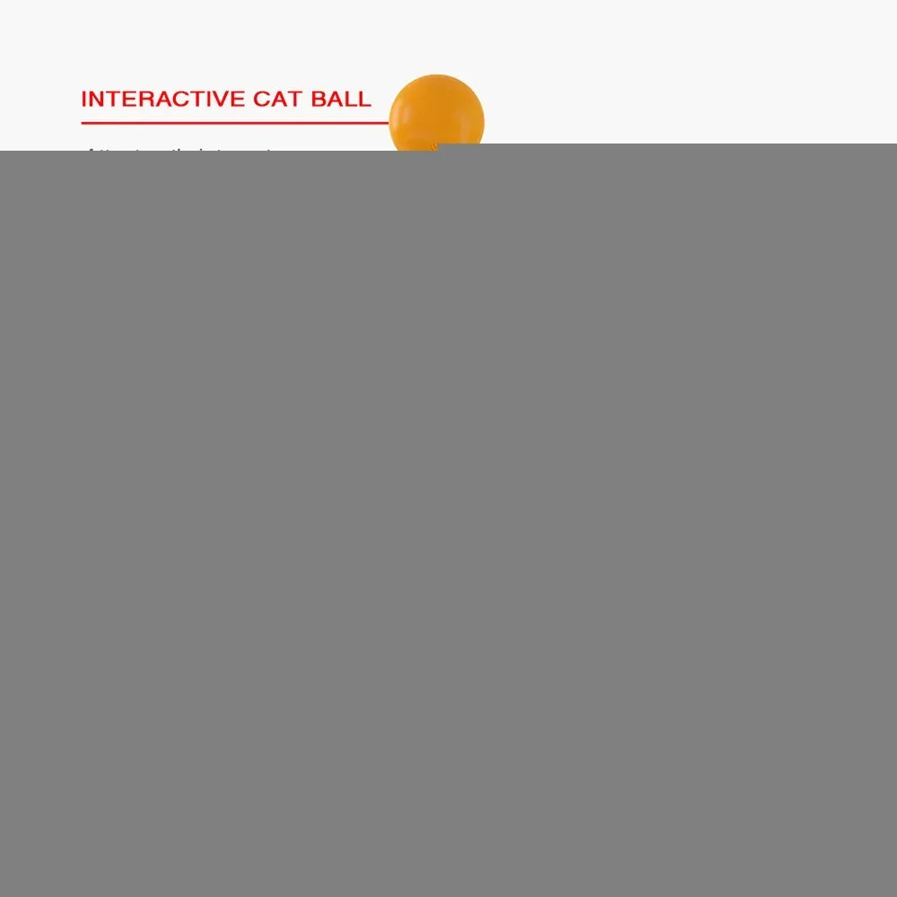 Funny Pet Products for Dropshipping, Interactive Balance Car Cat Chasing Toy With Catnip, Tumbler Swing Toys for Cats Kitten