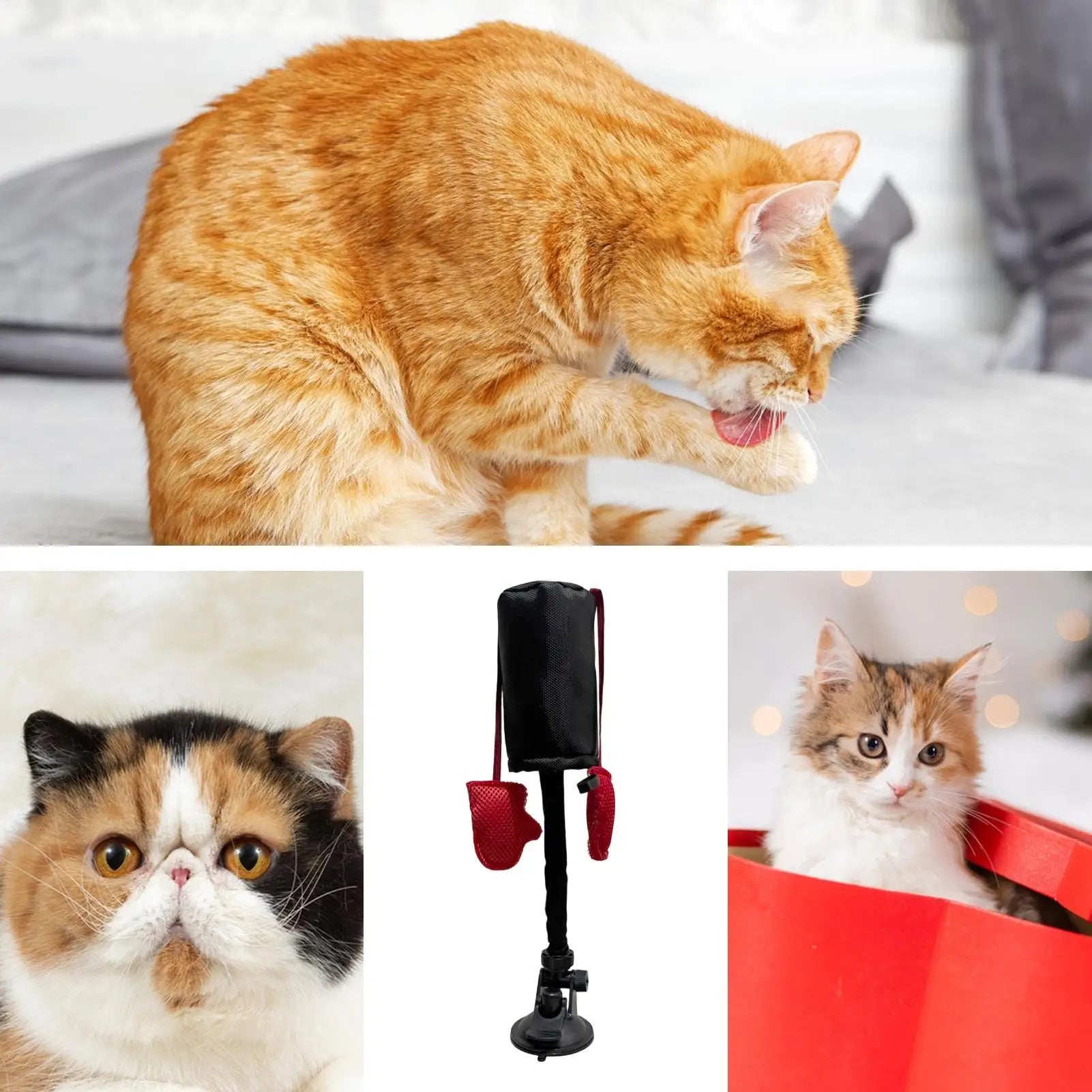 Cat Punching Bag Toy Interactive Kitten Play Toy with Suction Cup Pet Teasing Interactive Play Activity Fun Kitten Teaser  Toy