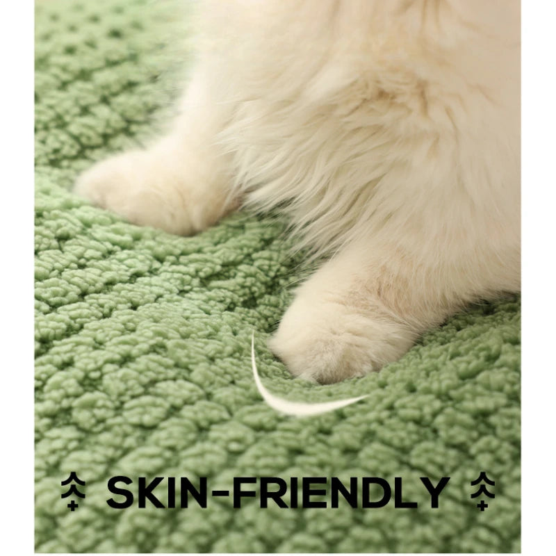 Cute frog cat dog bed warm home pet bed for autumn winter plush small dog cushion cat beds dogs bed pet supplies Pet House