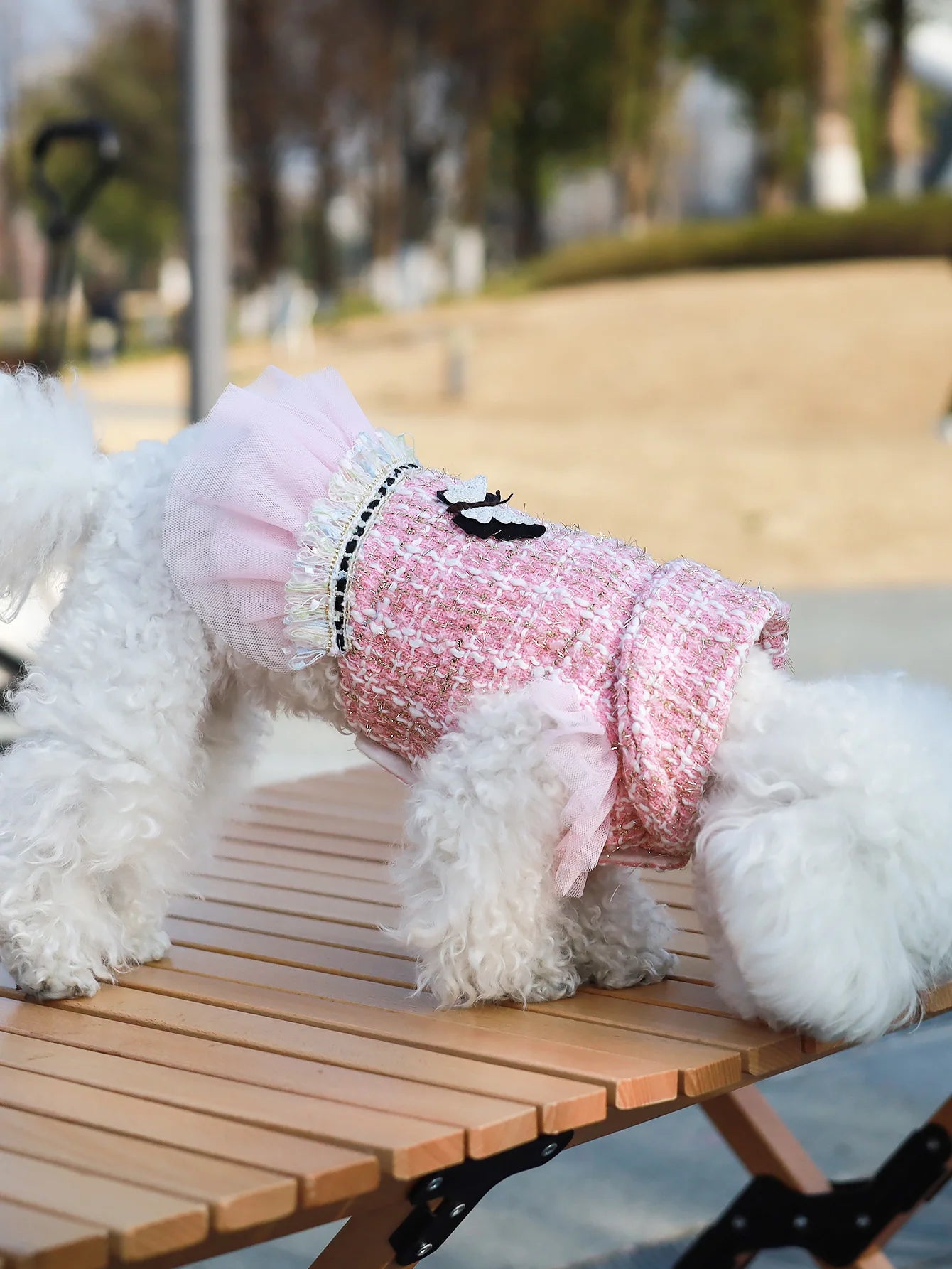 Dog clothes Princess Dress & Jacket For Pets, Suitable For Poodle, Maltese, Yorkshire Terrier In Spring And Autumn