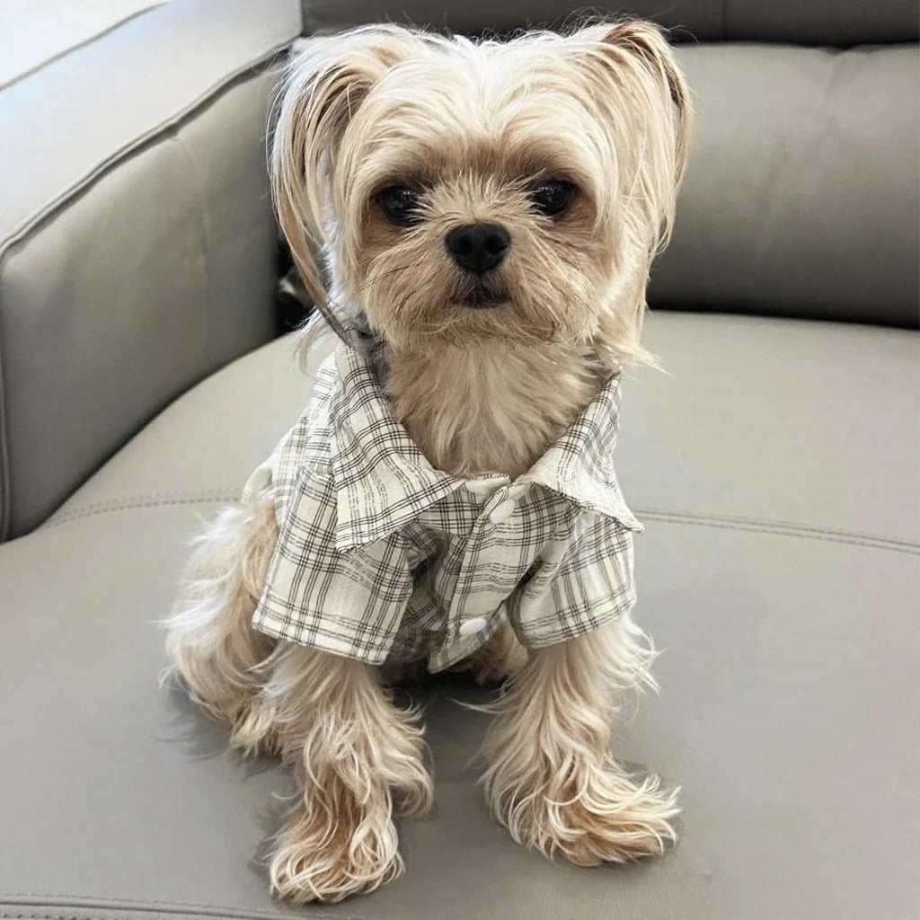 Dog clothes Spring Summer Plaid Shirt for Dogs And Cats Fashionable Cute Pet Clothing Suitable for Small to Medium Dogs