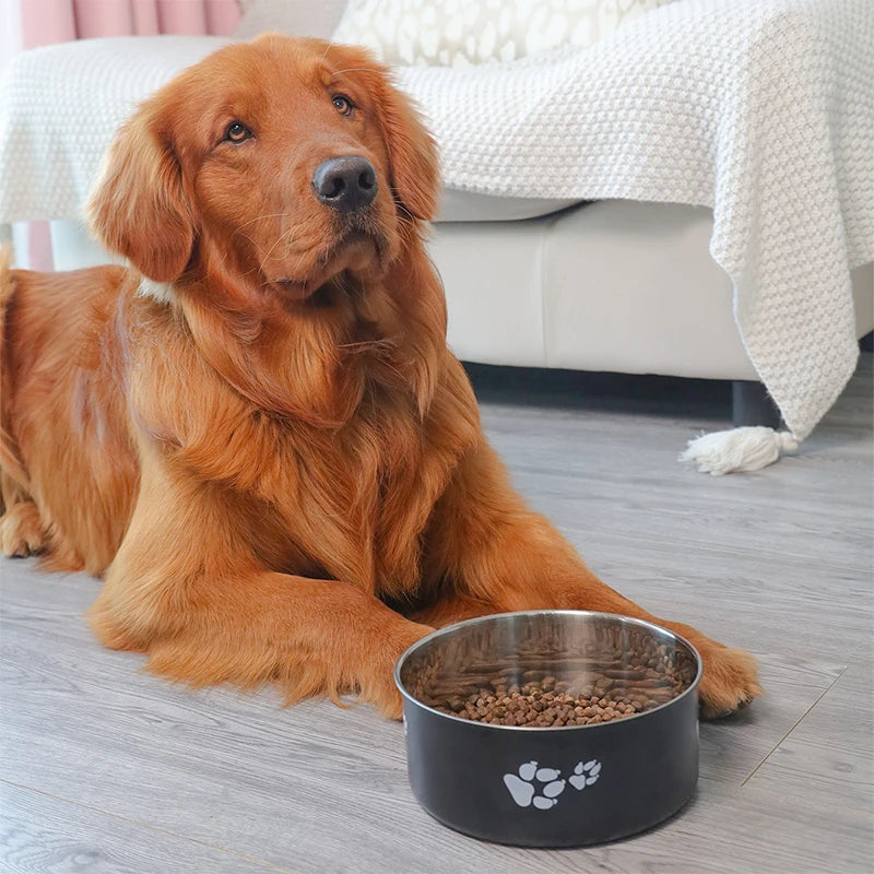 A cartoon-patterned pet bowl, easy to clean, made of stainless steel, suitable for both outdoor and indoor pet owners.
