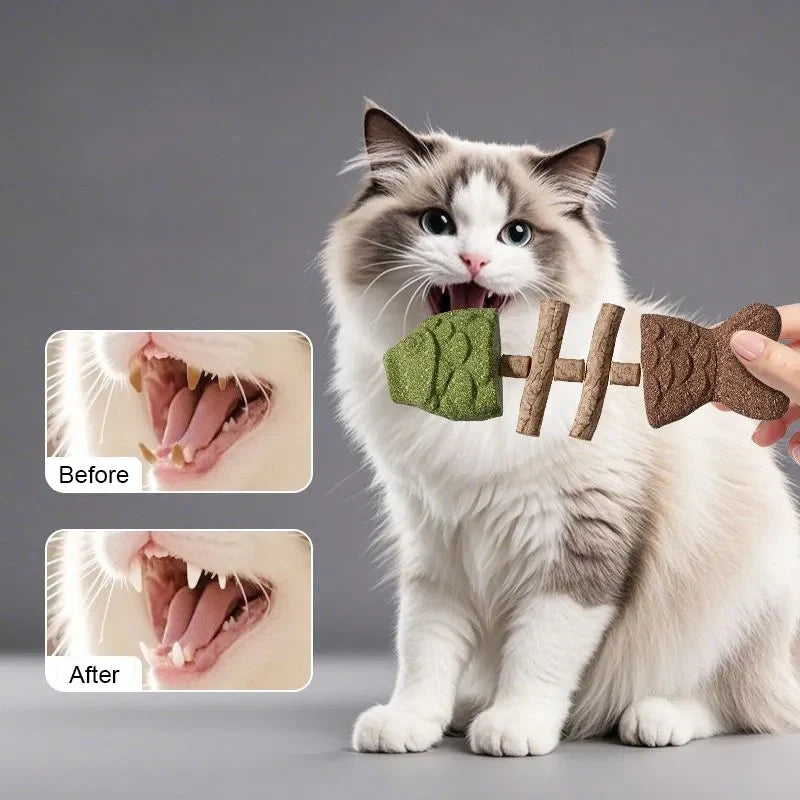 Catnip Balls Funny Fish Bone Cat Toys Lickable Snack Catnip Silvervine Kitten Chewing Cleaning Teeth Toy For Cats Pet Supplies