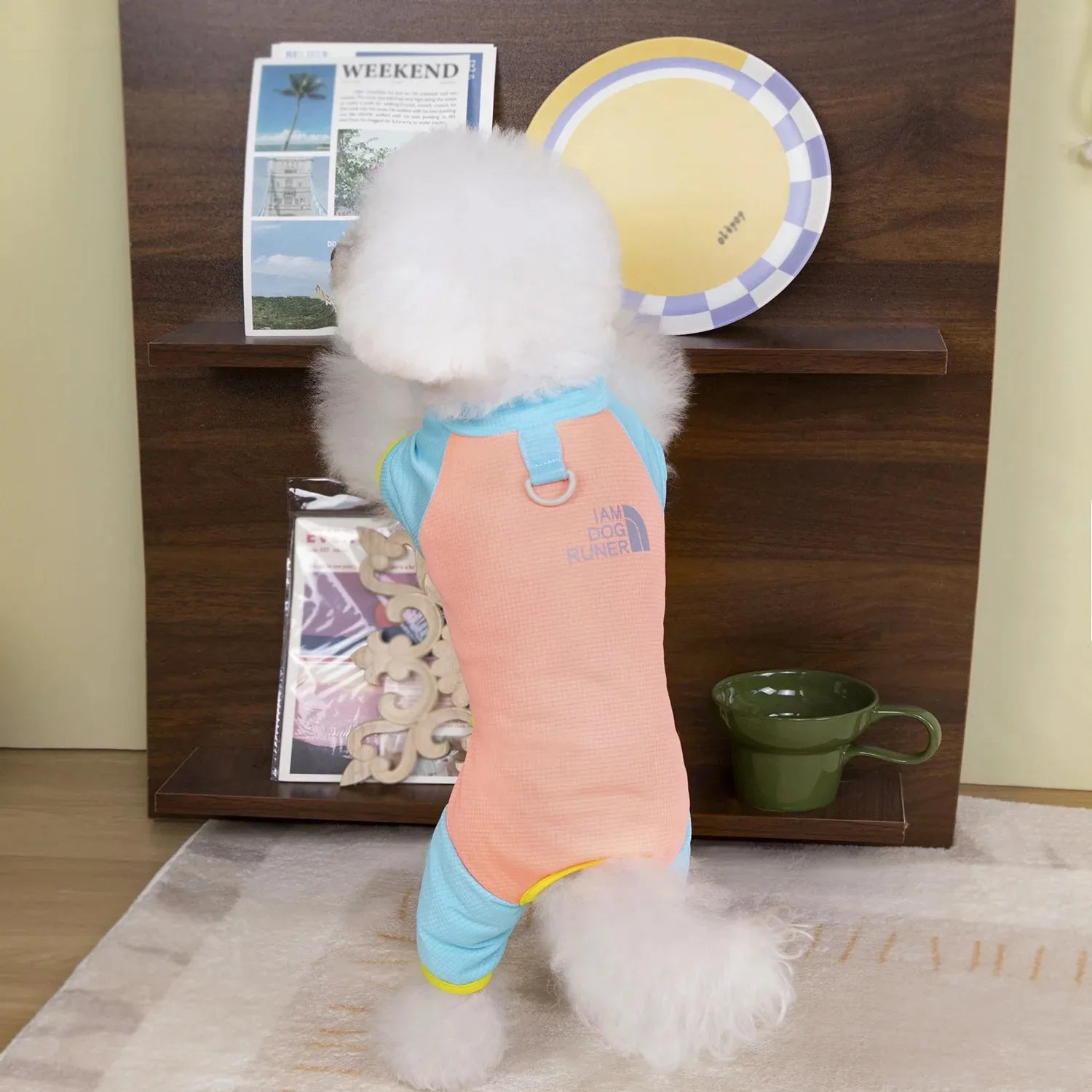 Clothes for Dog Summer Pet Pets Shirts Shirt Dogs Doggy Puppy Spring Apparel Blouse Clothing Products