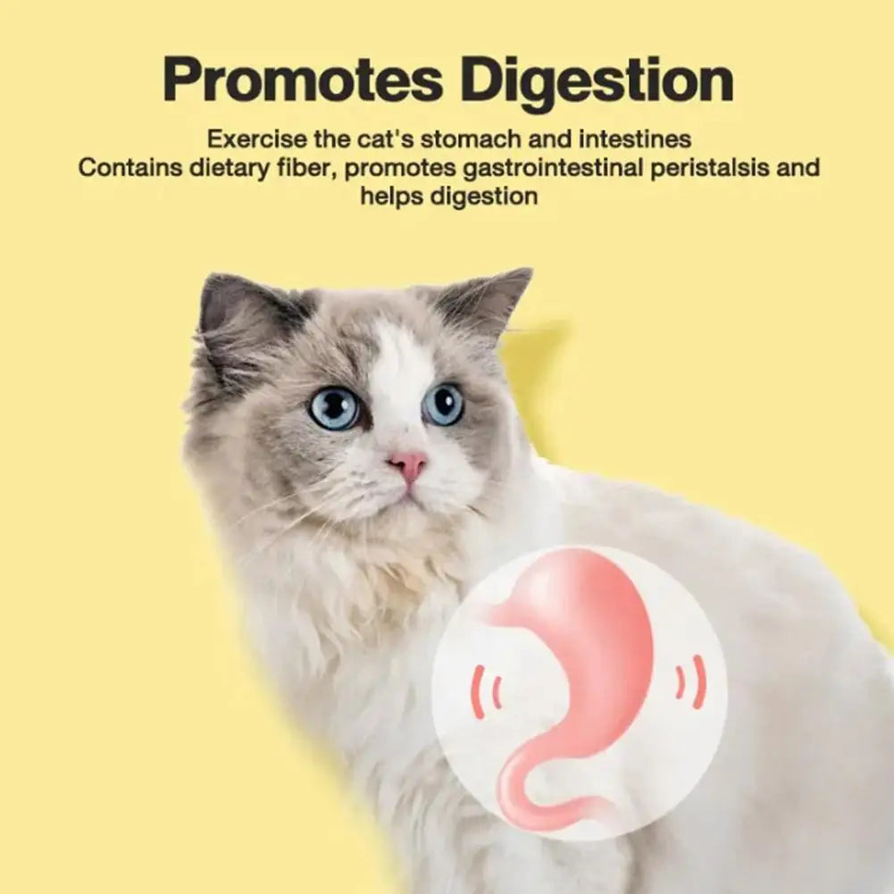 Cat Toys Cleaning Teeth Silvervine Chew Stick Pet Snacks Sticks Natural Stuff with Catnip for Kitten Catnip Teasing Chew Toys