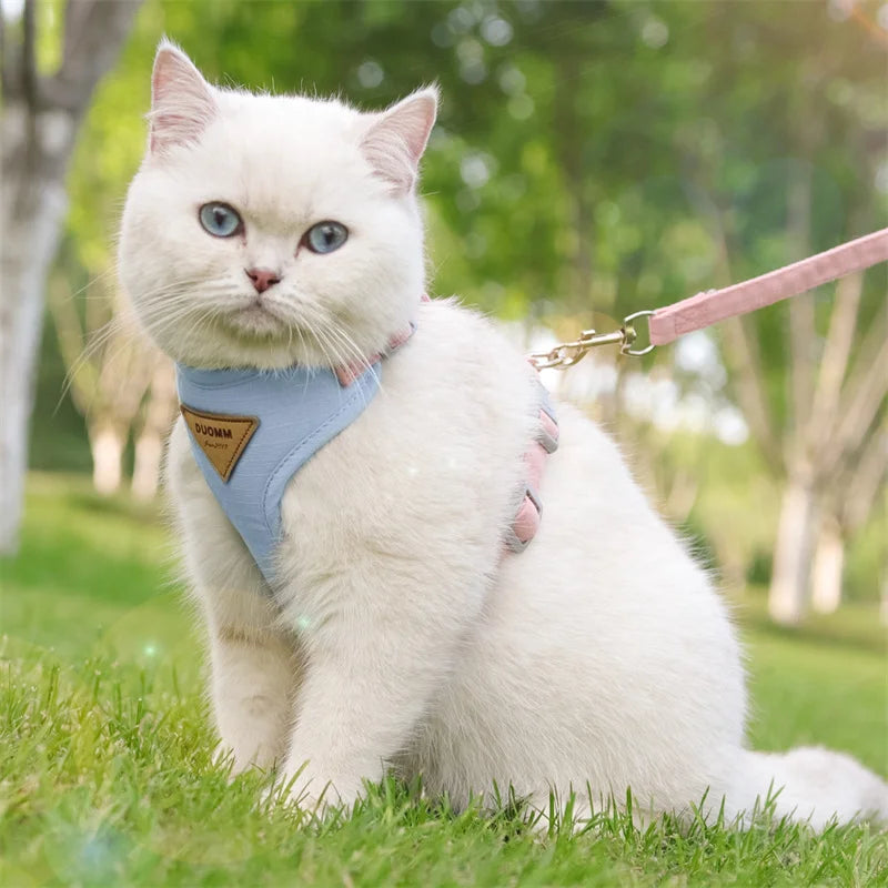 Cat Puppy Outdoor Walking Supplies Fashion Pet Harness and Leash Set for Small Dogs Cats Breathable Durable Kitten Harnesses