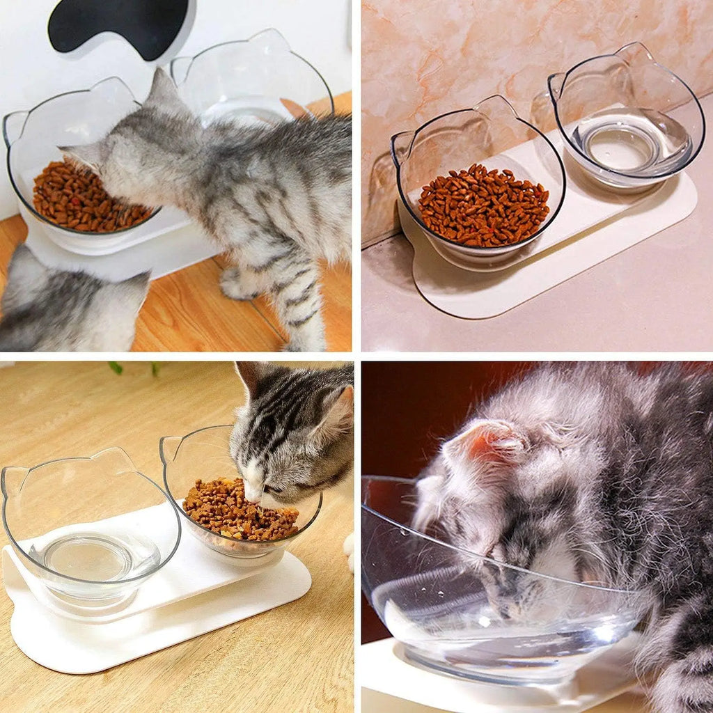 Double Cat Pet Feeding Bowls Food Bowl 15° Tilting with Stand Anti-Swing Kittens Elevated Puppy Dog Food and Water Raised Bowls