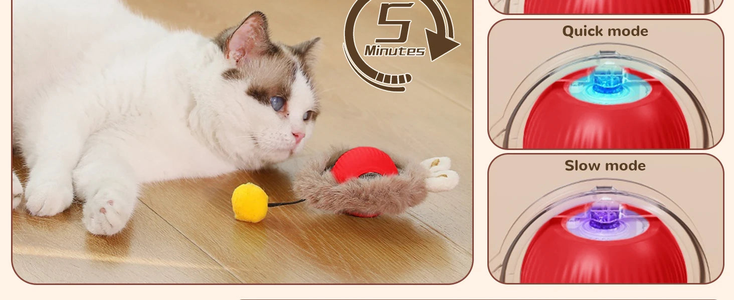 Cat Interactive ball Toy, Automatic Rolling Ball with Tail, Rechargeable Smart Pet Interactive Toy, Intelligent toy for Cat