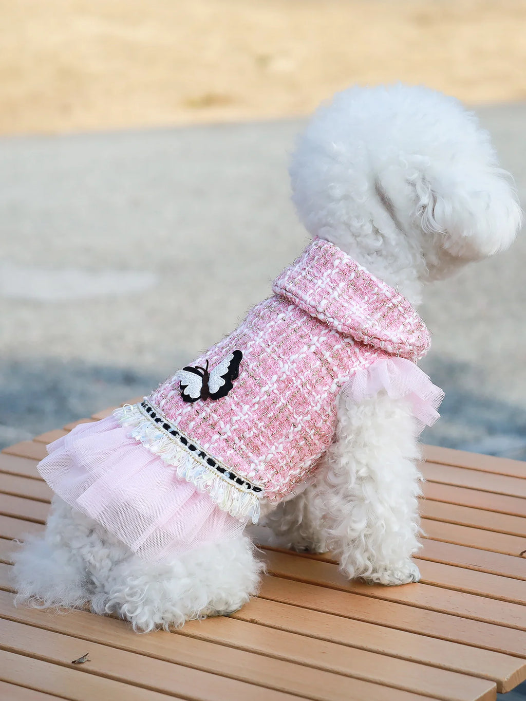 Dog clothes Princess Dress & Jacket For Pets, Suitable For Poodle, Maltese, Yorkshire Terrier In Spring And Autumn