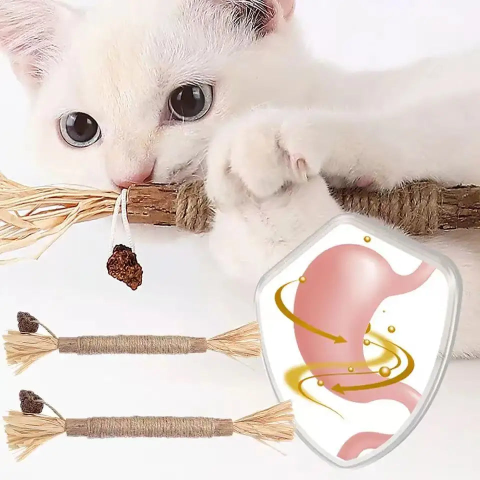 Catnip Cat Toys Natural Matatabi Pet Cat Snacks Stick Cleans Tooth Removers Hair Silvervine Kitten Chew Toy Promote Digestion