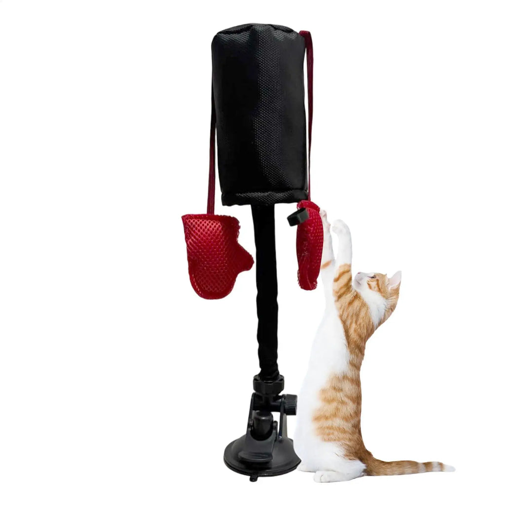 Cat Punching Bag Toy Interactive Kitten Play Toy with Suction Cup Pet Teasing Interactive Play Activity Fun Kitten Teaser  Toy