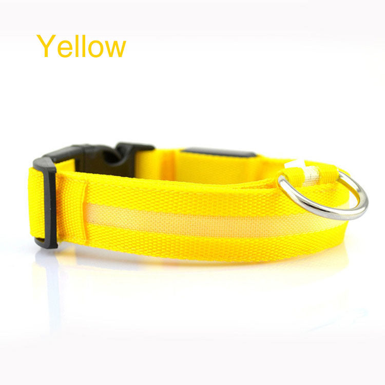 Safety Dog LED Collar - Get It for Your Pets