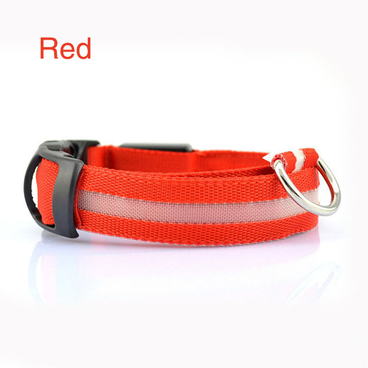 Safety Dog LED Collar - Get It for Your Pets