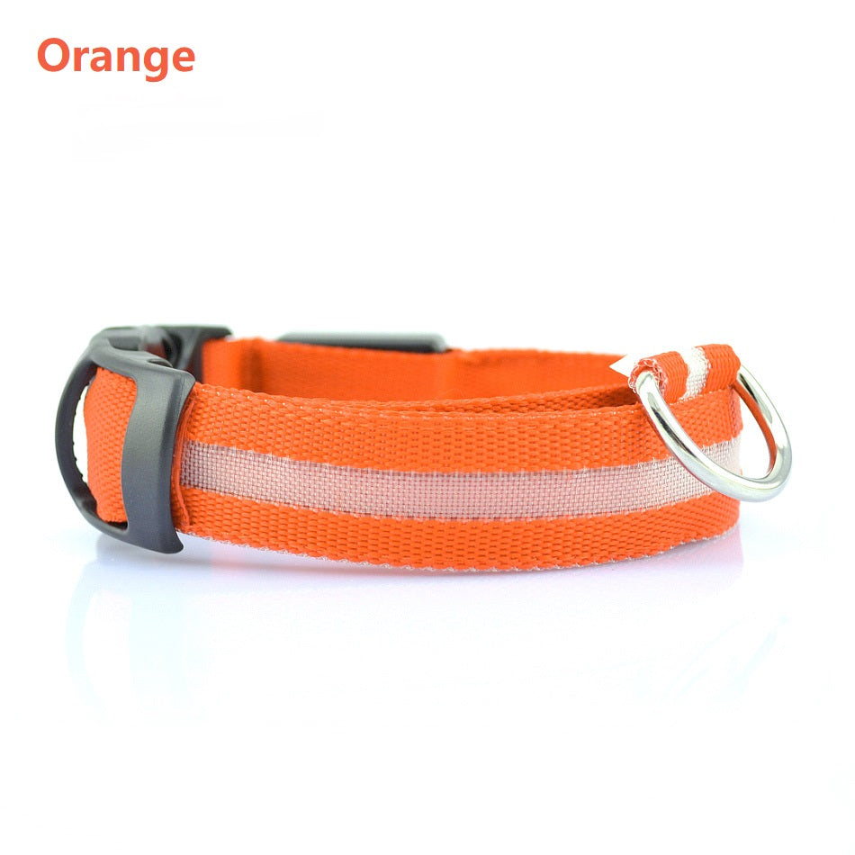 Safety Dog LED Collar - Get It for Your Pets