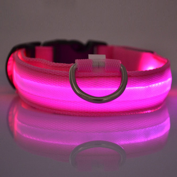 Safety Dog LED Collar - Get It for Your Pets