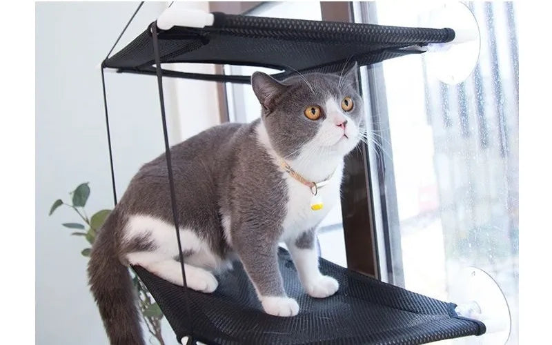 Cat Hammock Window Bed Kitten Sunny Seat Hanging Mount Beds Cat Sofa playing double-decker tunnels Suction Cup Wall Pet Hanging