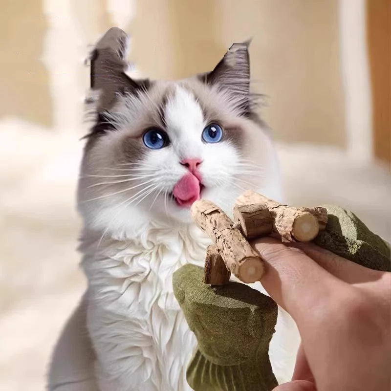 Catnip Balls Funny Fish Bone Cat Toys Lickable Snack Catnip Silvervine Kitten Chewing Cleaning Teeth Toy For Cats Pet Supplies