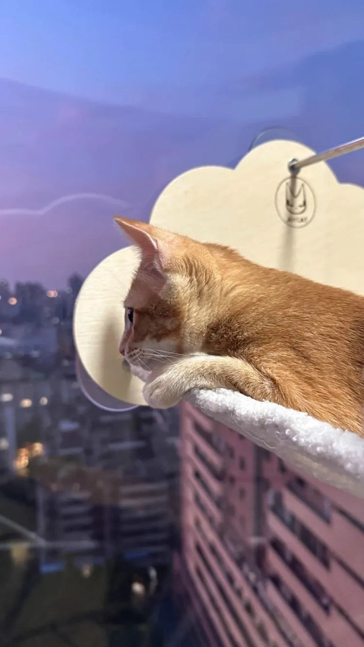 Creative Cat Bed Hammock Pet Cat Kitten Beds Cats Nap Sleeping Bag Basket Mat Pets Blankets Catnap Rug Raised Bed Furry Mats