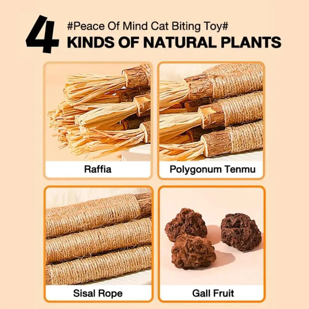 Cat Toys Cleaning Teeth Silvervine Chew Stick Pet Snacks Sticks Natural Stuff with Catnip for Kitten Catnip Teasing Chew Toys