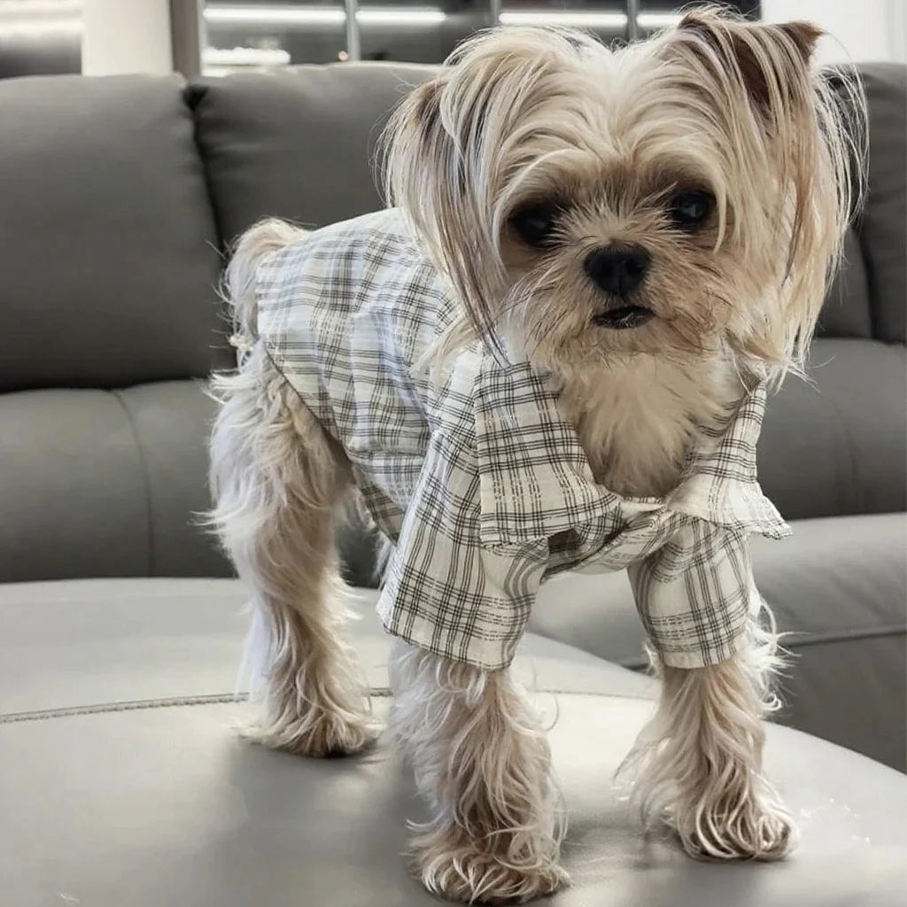 Dog clothes Spring Summer Plaid Shirt for Dogs And Cats Fashionable Cute Pet Clothing Suitable for Small to Medium Dogs