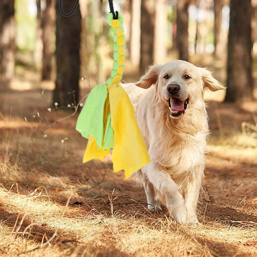 Dogs Flirt Lure Pole Stick Toys Pet Interactive Chasing Tail Teaser Wand Training Chewing Rope Cat Pet