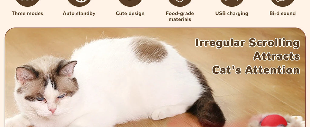 Cat Interactive ball Toy, Automatic Rolling Ball with Tail, Rechargeable Smart Pet Interactive Toy, Intelligent toy for Cat