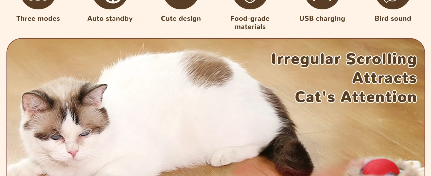Cat Interactive ball Toy, Automatic Rolling Ball with Tail, Rechargeable Smart Pet Interactive Toy, Intelligent toy for Cat